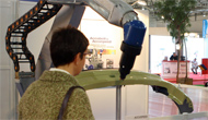 Jornadas